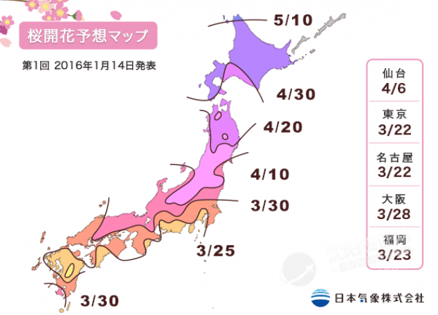 2016日本“樱花前线”预告来啦！