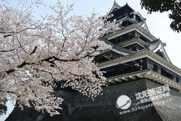 樱花2017