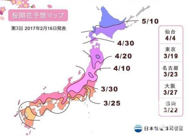 樱花开放时间预想2017