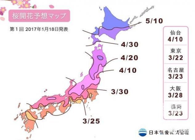樱花预想2017