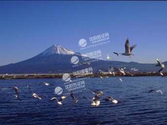 日本五年多次往返签证,终于落实