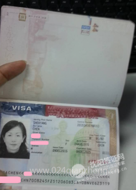 陈女士,沈阳代办美国签证案例