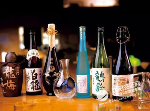 中国去日本自由行跟团游旅游旅行签证攻略大全