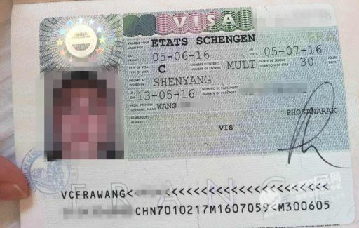 恭喜王先生，沈阳代办法国签证已经顺利下签。合作愉快希望下次继续合作。