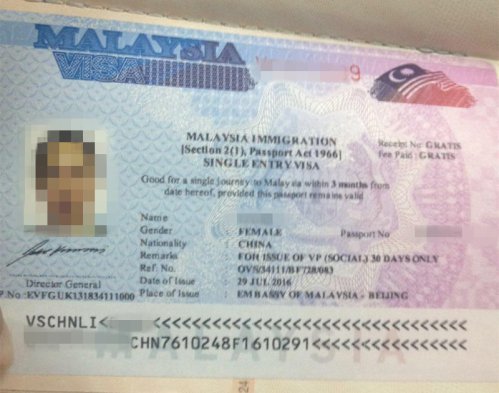 马来西亚签证代办案例